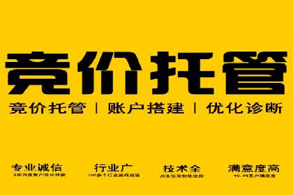 SEM推广公司案例：打造高效营销体系